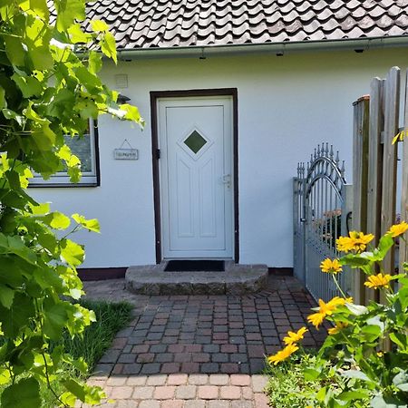 Feel-Good Apartment Close To The City Reppenstedt Buitenkant foto